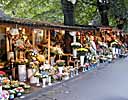 Flower stands in Riga