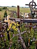 Hill of Crosses, many different crosses