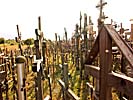 Hill of Crosses, many different crosses