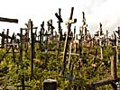 Hill of Crosses, many different crosses