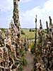 Hill of Crosses, many different crosses