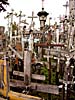 Hill of Crosses, many different crosses