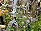 Hill of Crosses, special crosses