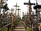 Hill of Crosses, many different crosses