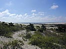 The Nida sand dune, view