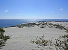 The Nida sand dune, view