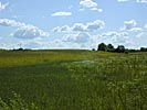 In the country, Lithuanian landscape