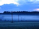 In the country, evening mist around electric poles