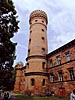 Raudone Castle, the tower