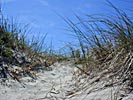 Sventoji, on the beach, a tunnel in the grass