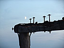 Sventoji, the pier in evening light