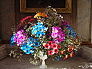 Vilnius, Kalvarijos Church, flowers on left side altar