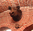 Vilnius, Restaurant Lokys, boar trophy