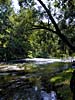 Vilnius, the city park and river Vilnele