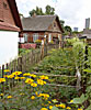 Vilnius, Snipiskes, market garden