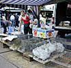 Market place, turgus, in Vilnius. Pet sales.