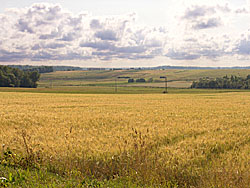 Zemaitija, farmland