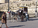Malta, Valletta: kusk som vilar sig i solen