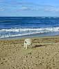 Hatillo, beach, left chair