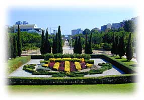 Valencia City arms set in flowers