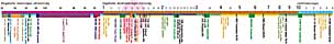 Radio astronomical frequency spectrum