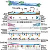 System Overview with Cabling