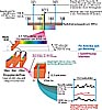 Signal Processing Scheme in Three Dimensions