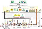 SPS ring control at CERN