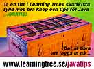 Javatips fr�n Learning Tree
